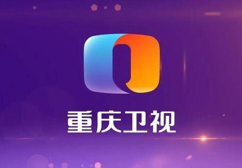 重庆卫视在线观看,尽享山城魅力，云端观战精彩瞬间