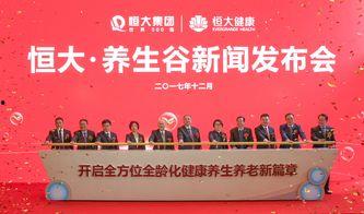 最新恒大爆料新闻报道,揭秘债务危机背后的真相