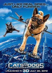 猫狗大战在线观看,在线观看，一场宠物界的终极对决