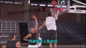 布鲁克最新爆料视频大全,揭秘幕后真相与精彩瞬间