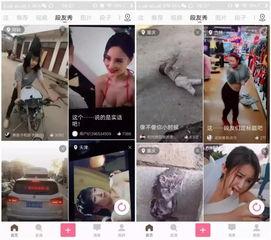 六月今日头条爆料视频,今日头条爆料视频深度解析