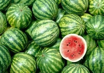 深圳城中村网红吃瓜,网红吃瓜背后的烟火人生