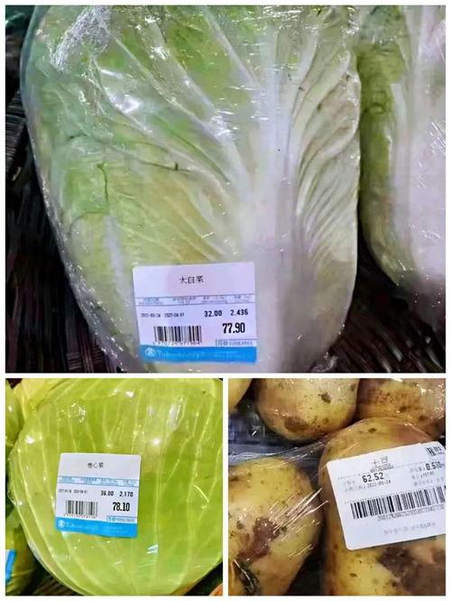 吉林大白菜爆料视频,揭秘田间地头的新鲜秘密