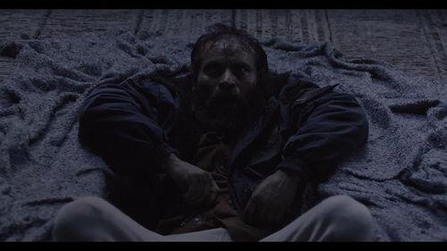 末世肉体在线观看,生存与救赎的残酷较量