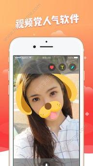 网红助理爆料视频大全,揭秘网红幕后真相