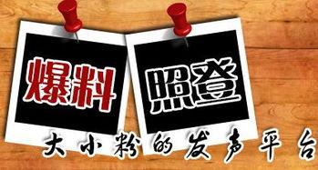 新闻爆料抽象,新闻背后惊人真相曝光