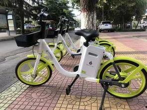 电动共享单车爆料视频曝光,行业乱象与监管挑战