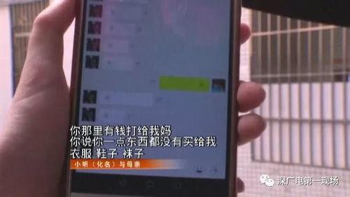 深圳蓝先生最新爆料,揭秘最新热点事件内幕