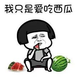 娱乐吃瓜酱题目,跟随“娱乐吃瓜酱”探寻明星幕后故事
